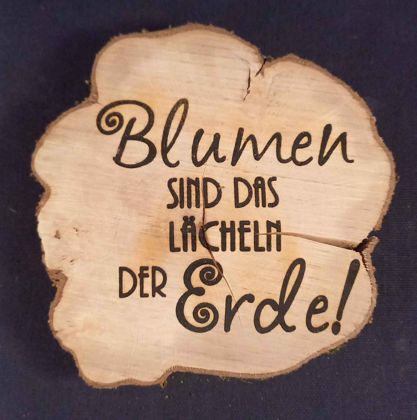 Baumscheibe