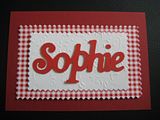 1618000216 Sophie