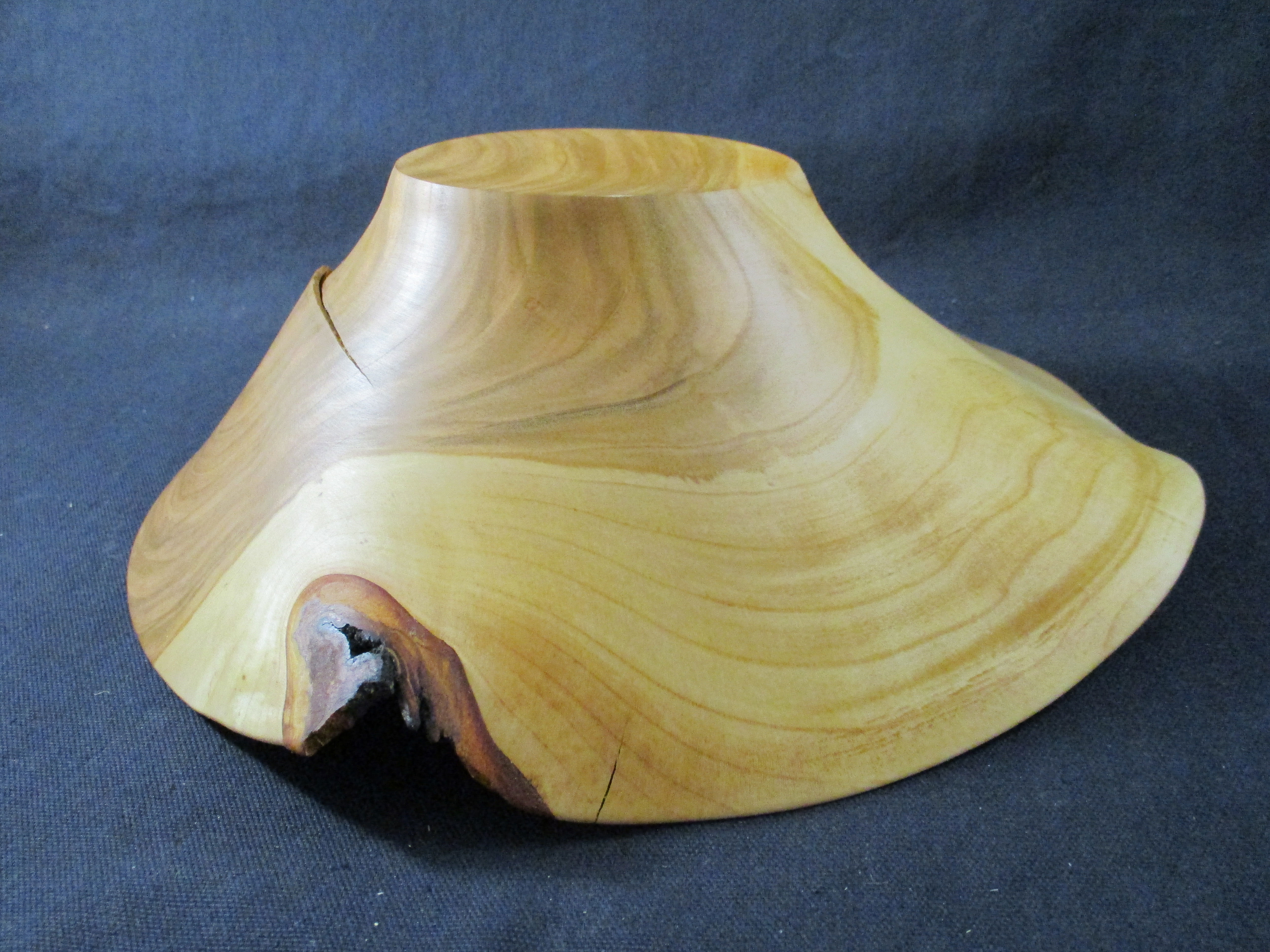 Schale Kirsche